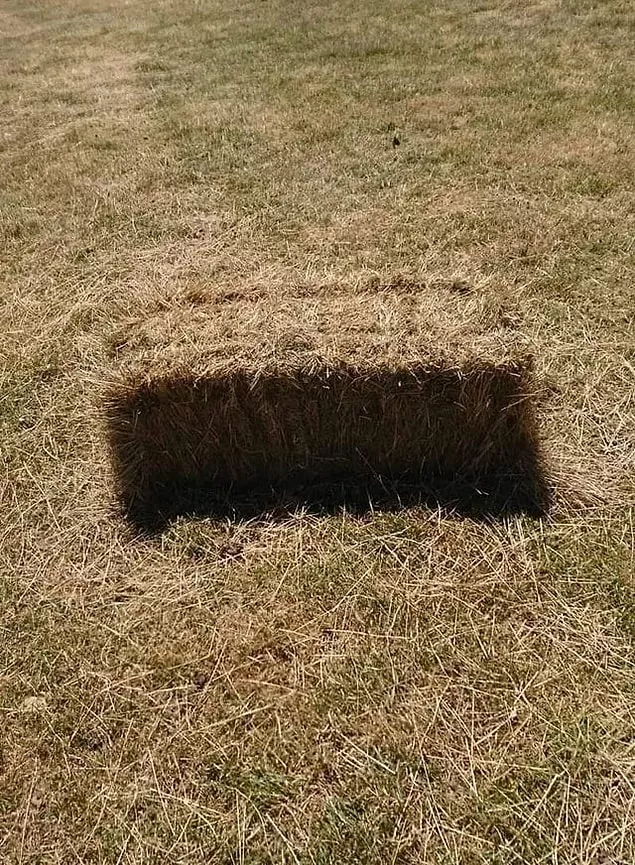 Beyninizi adeta 'yakacak' birbirinden ilginç 15 görüntü 8