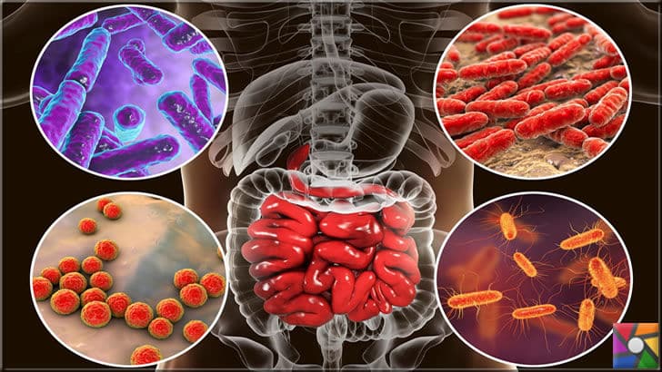 Bilimin hala açıklayamadığı 8 gizem 9