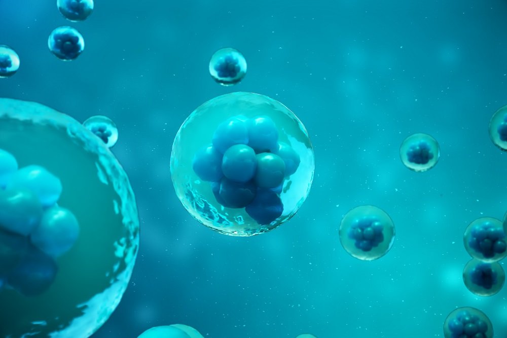 İnsanlar büyük bir evrimin pençesinde mi? Biyologlar,  daha gelişmiş insan hücreleri üretti 3