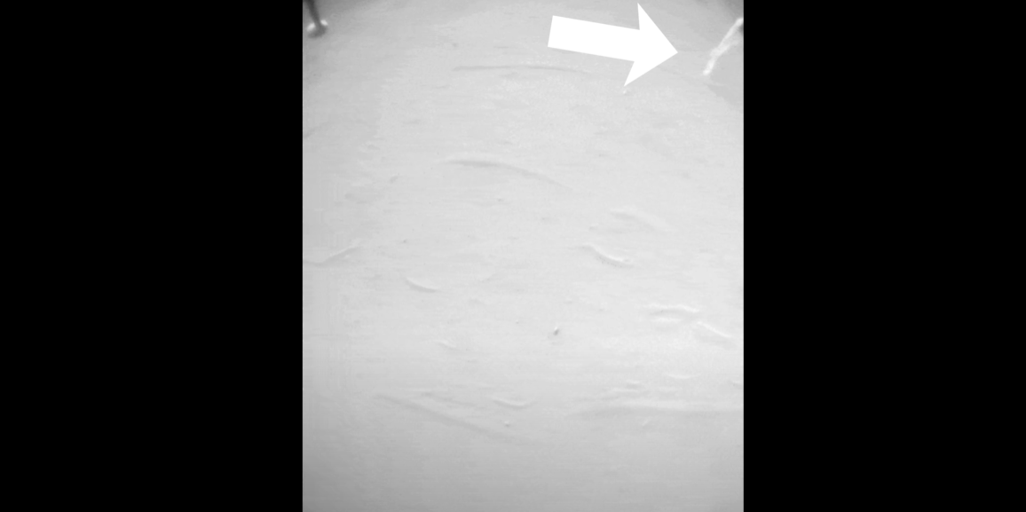 Mars helikopteri havalanırken bir cisme takıldı: NASA,  cismi araştırmaya başladı! 2