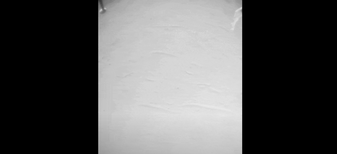 Mars helikopteri havalanırken bir cisme takıldı: NASA,  cismi araştırmaya başladı! 4