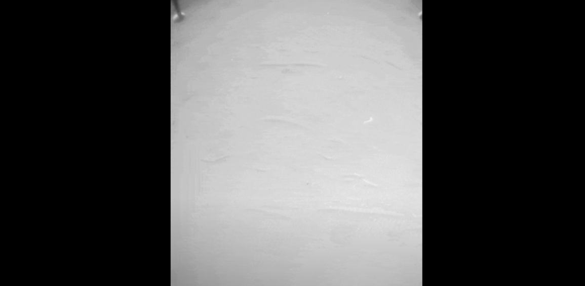 Mars helikopteri havalanırken bir cisme takıldı: NASA,  cismi araştırmaya başladı! 6