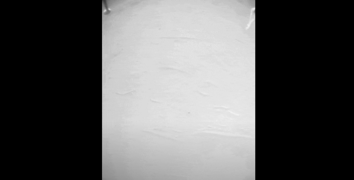 Mars helikopteri havalanırken bir cisme takıldı: NASA,  cismi araştırmaya başladı! 3