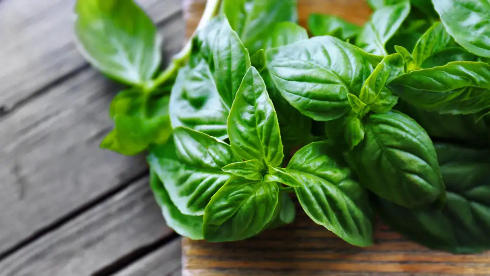 Asla dondurucuya koymamanız gereken 9 yiyecek 5