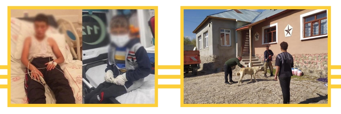 2022-11-07 14_16_50-Window