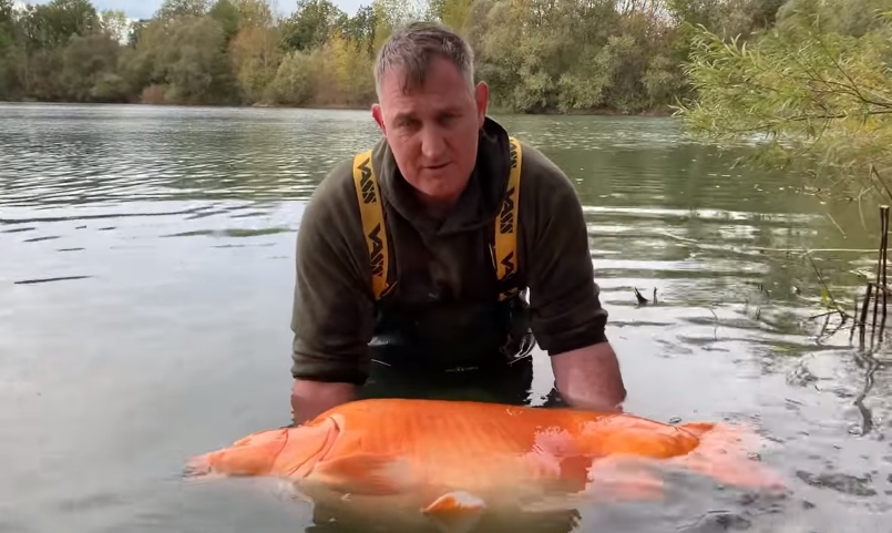 30 kilo ağırlığındaki Dev Japon Balığını görenler şaştı kaldı 6