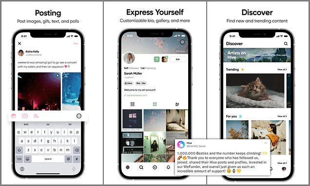 64828411-0-image-a-23_1669139050729