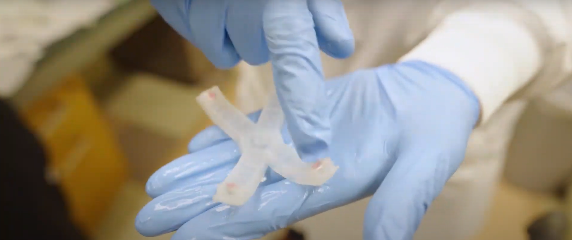 biyolumens karanlıkta parlayan alg (3)