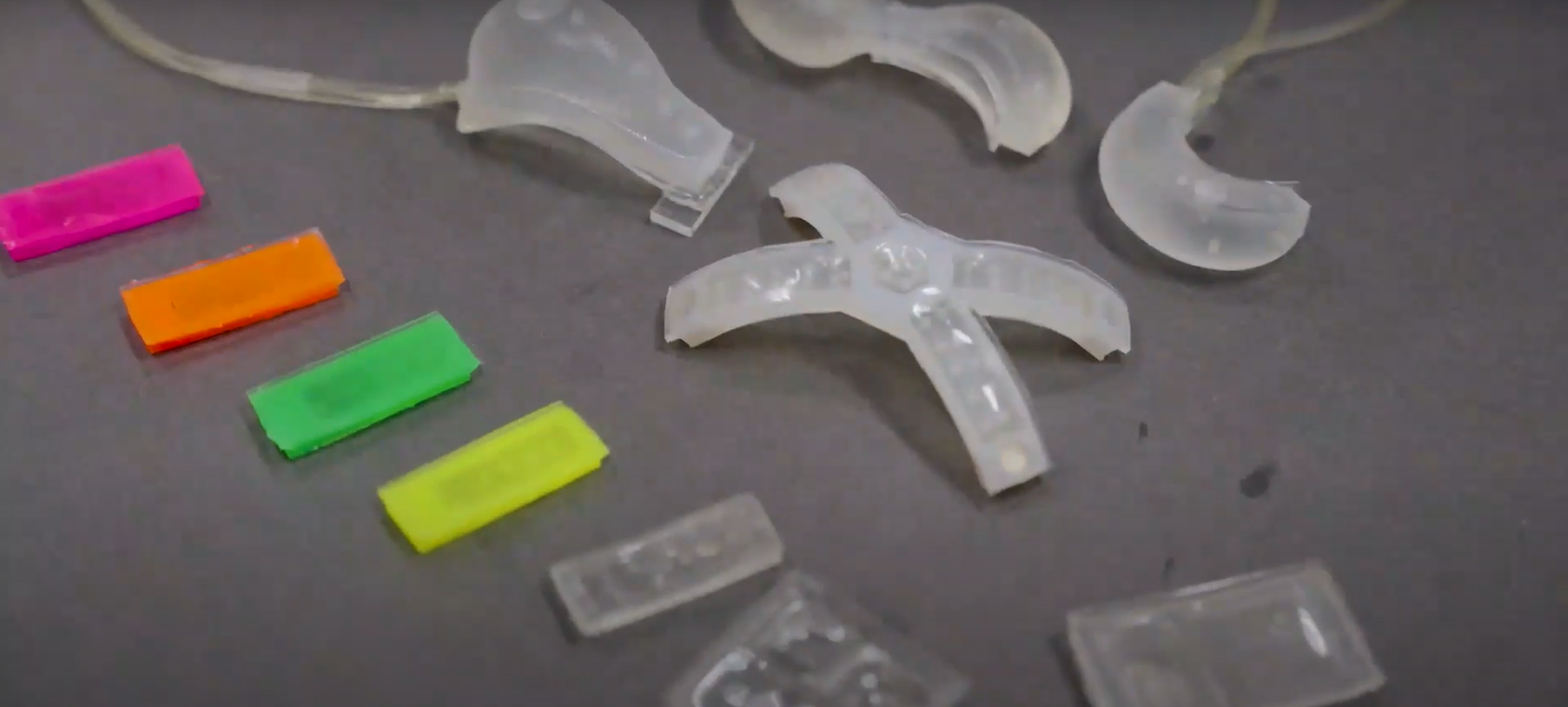 biyolumens karanlıkta parlayan alg (4)