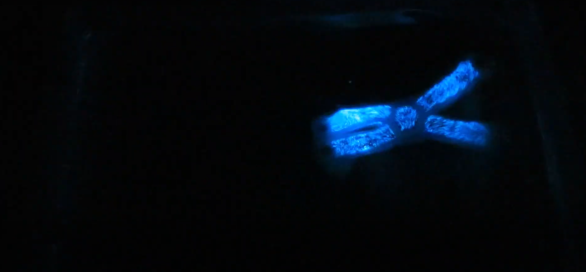 biyolumens karanlıkta parlayan alg (5)