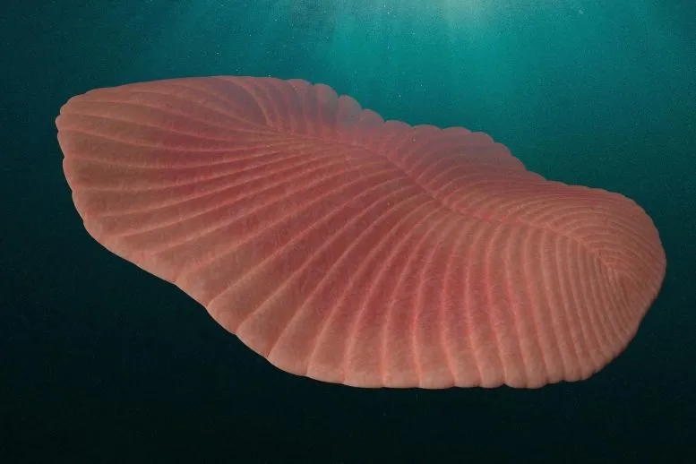 kitlesel yok oluş (1)-1