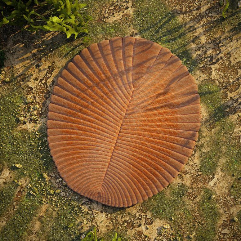 kitlesel yok oluş (1)