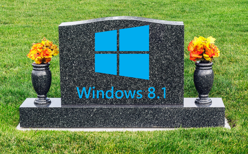 RIPWindows81