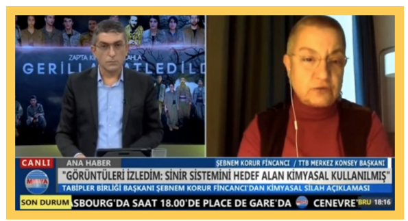 Şebnem Korur Fincancı