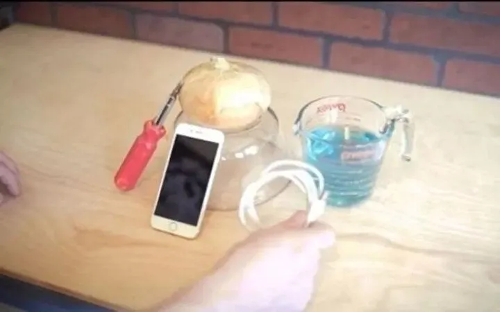 Soğanla telefonunu şarj etti! Siz de bu deneyi evinizde deneyebilirsiniz 1