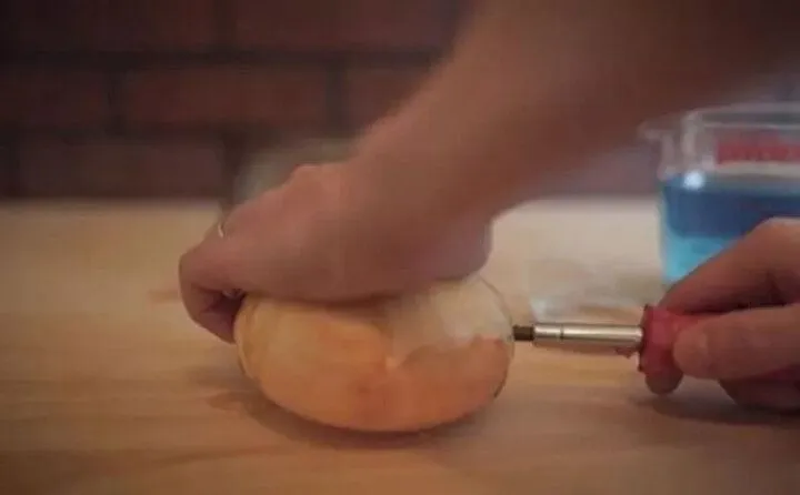 Soğanla telefonunu şarj etti! Siz de bu deneyi evinizde deneyebilirsiniz 2