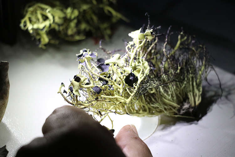 01_2022_29_Aralik_13_20221203_2_56260593_83414655