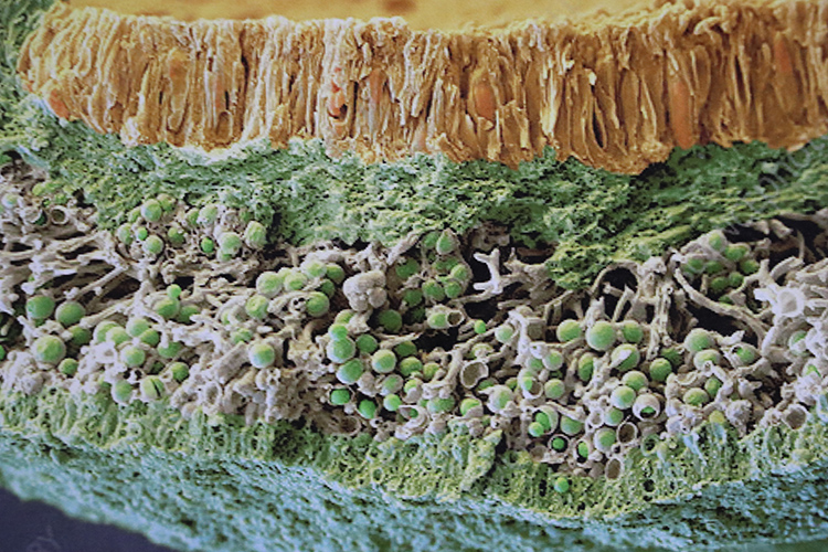 01_2022_29_Aralik_13_20221203_2_56260593_83414657