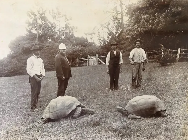 2022-12-05 17_09_22-Window