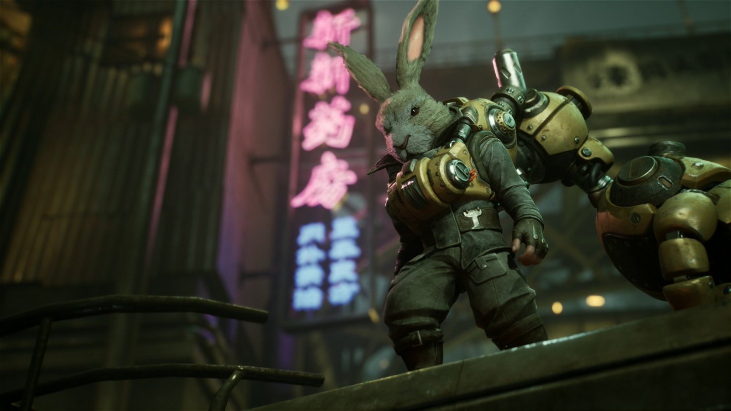 50062740132_ea25026f0e_h