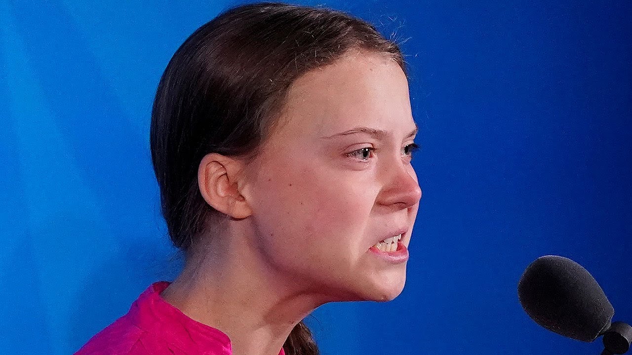 andrew tate greta thunberg (4)