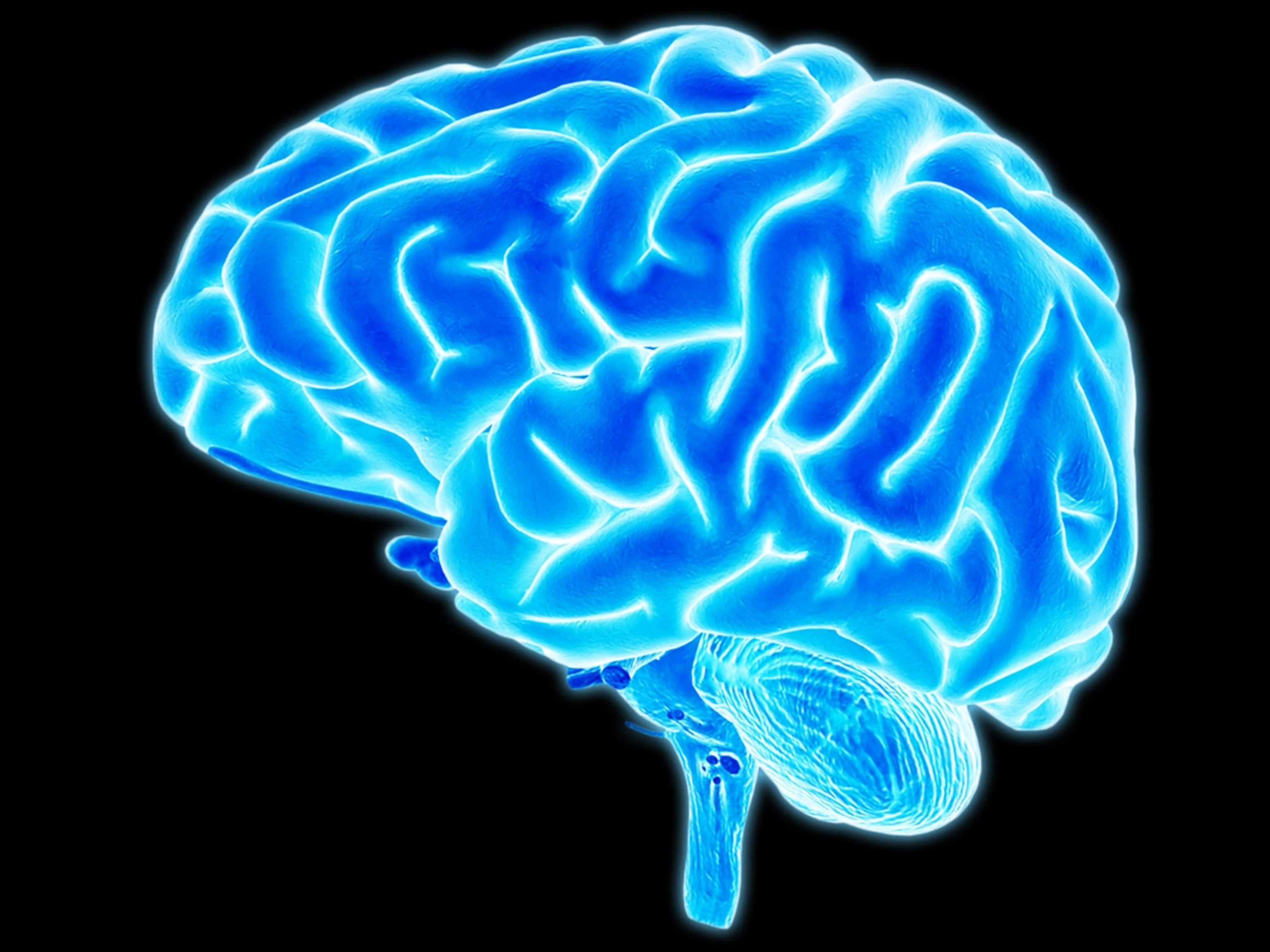 beyin ve koronavirüs (2)-1