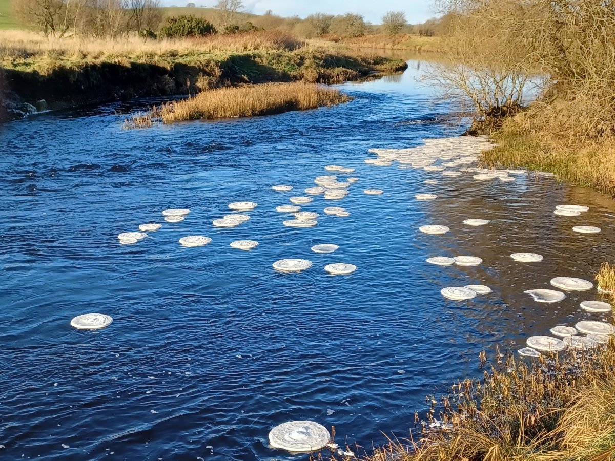 buz pankekleri (1)-1