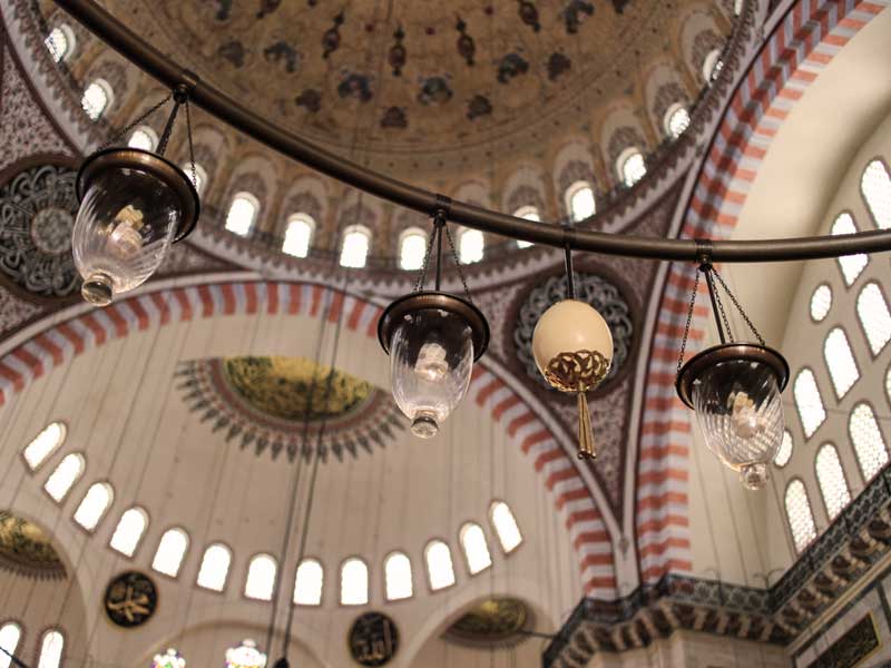 camilere-neden-deve-kusu-yumurtasi-konur