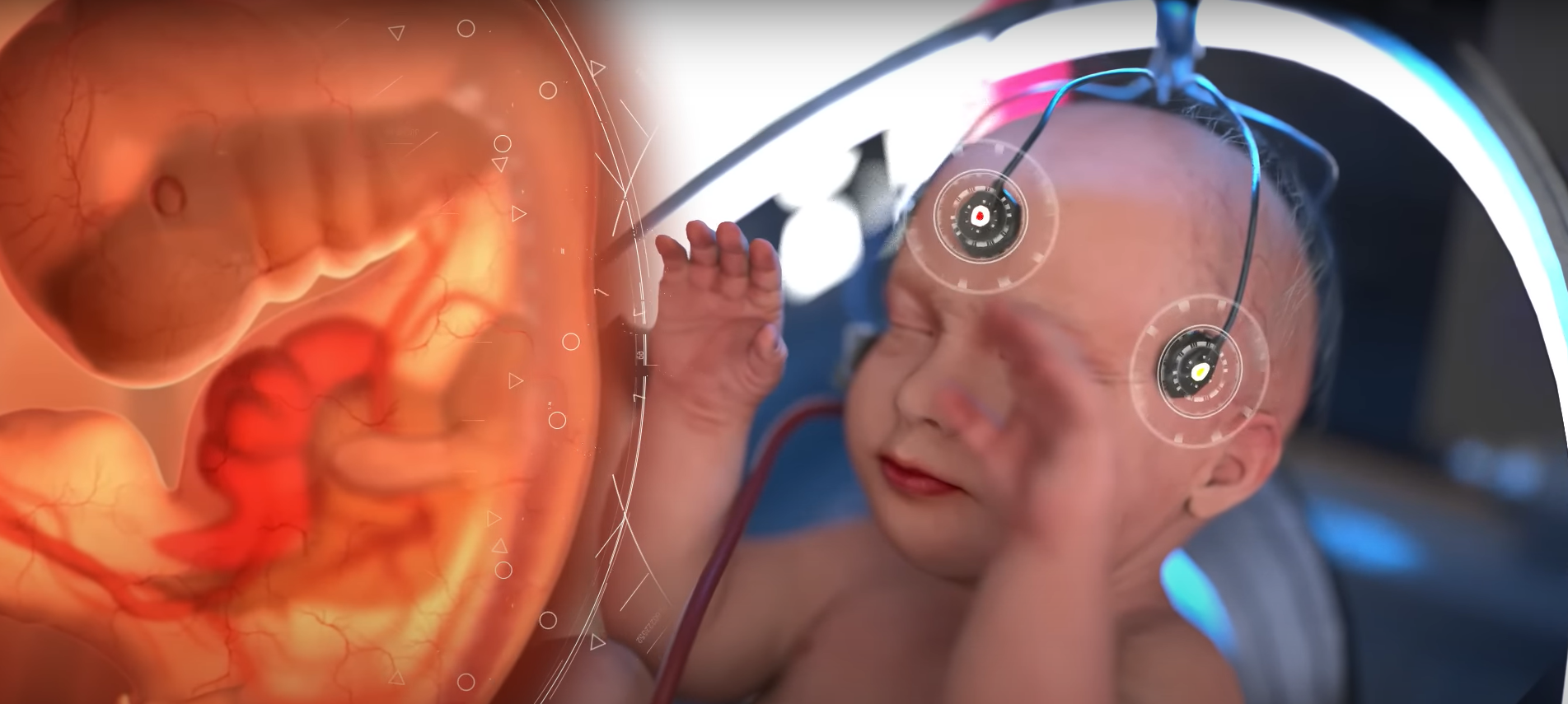 ectolife insan ciftligi (3)