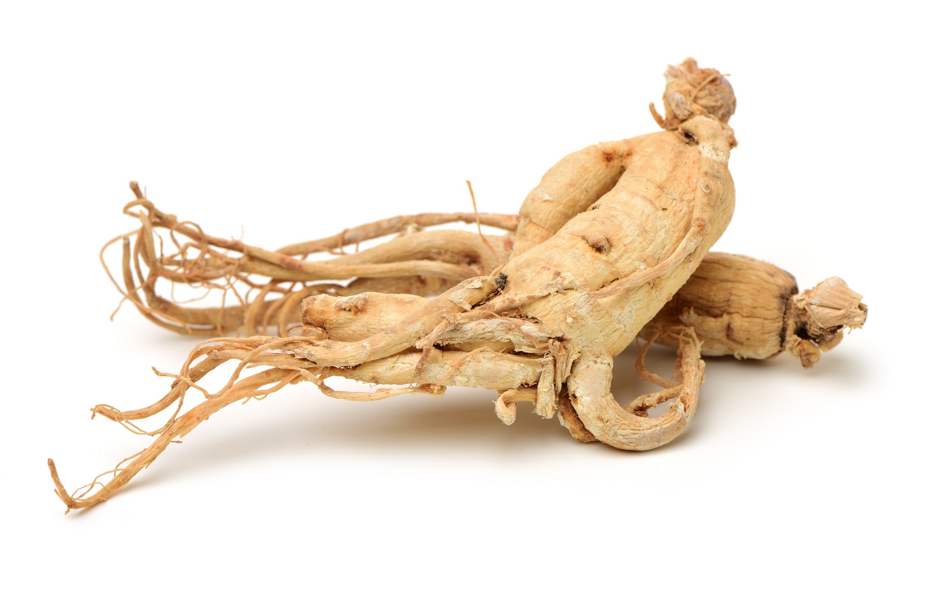 ginseng (6)