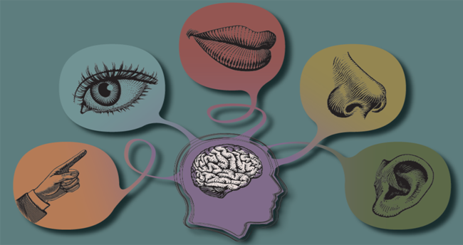 İnsan anatomisi hakkında bilmediğiniz 12 gerçek! 4