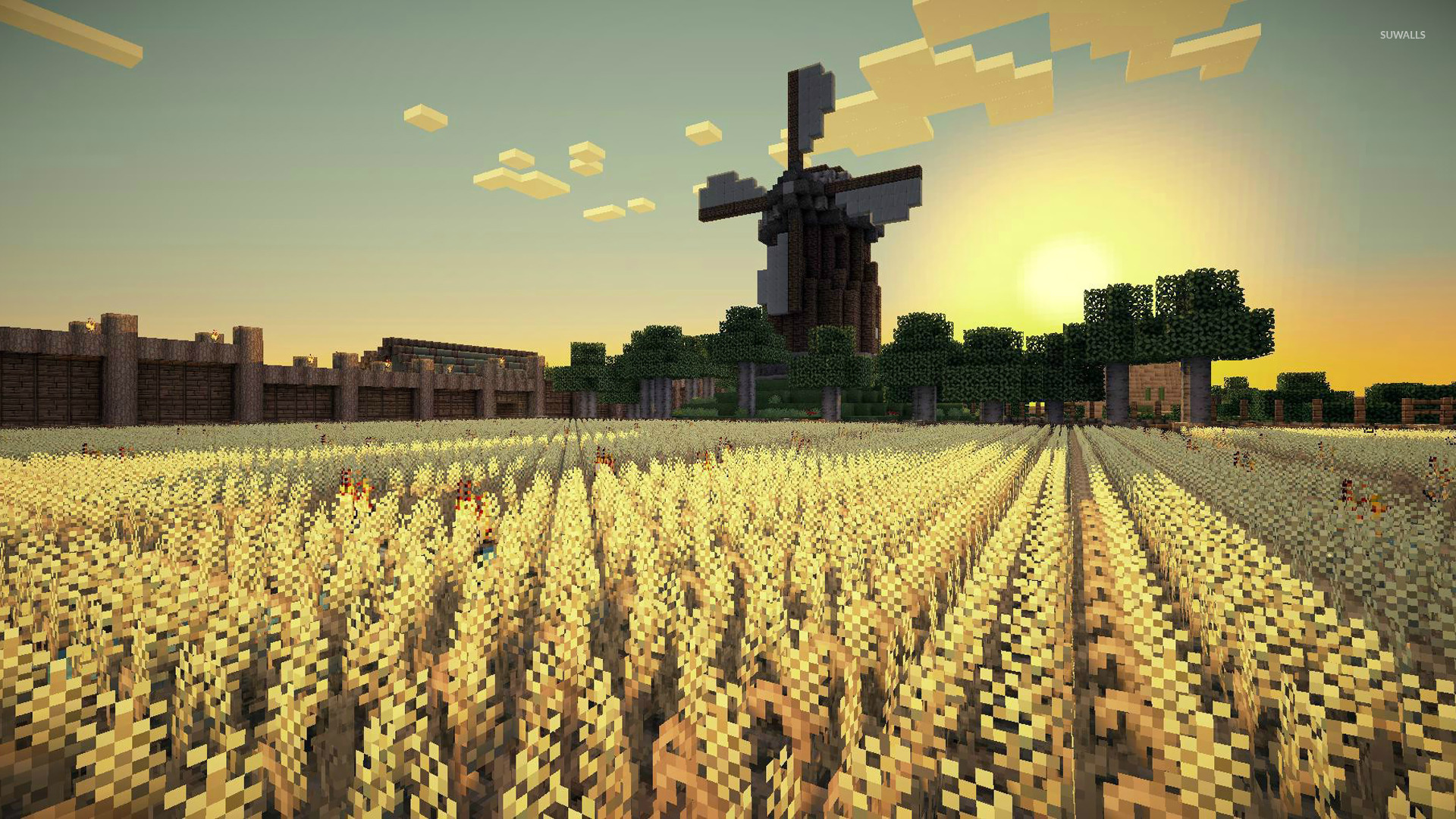 minecraft (3)