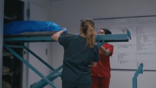 my dead bodie ceset otopsi (1)-1