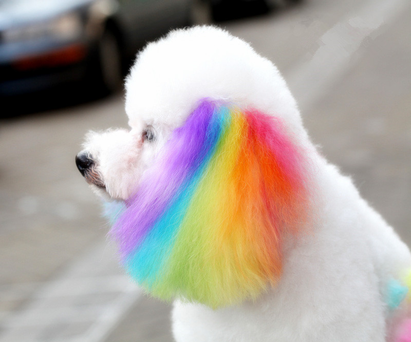 UTB8rN94k0oSdeJk43Owq6ya4XXaA