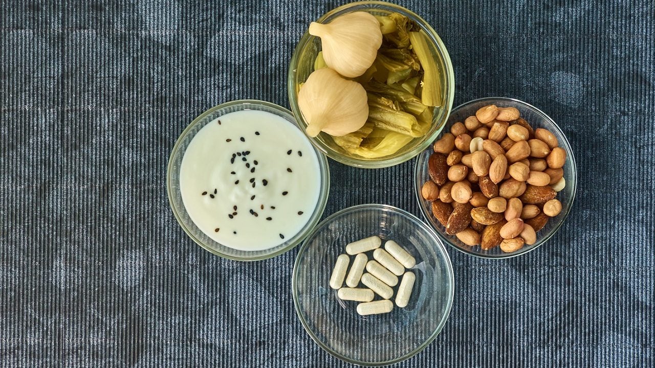 vücut beslenme bağışıklık (1)-1