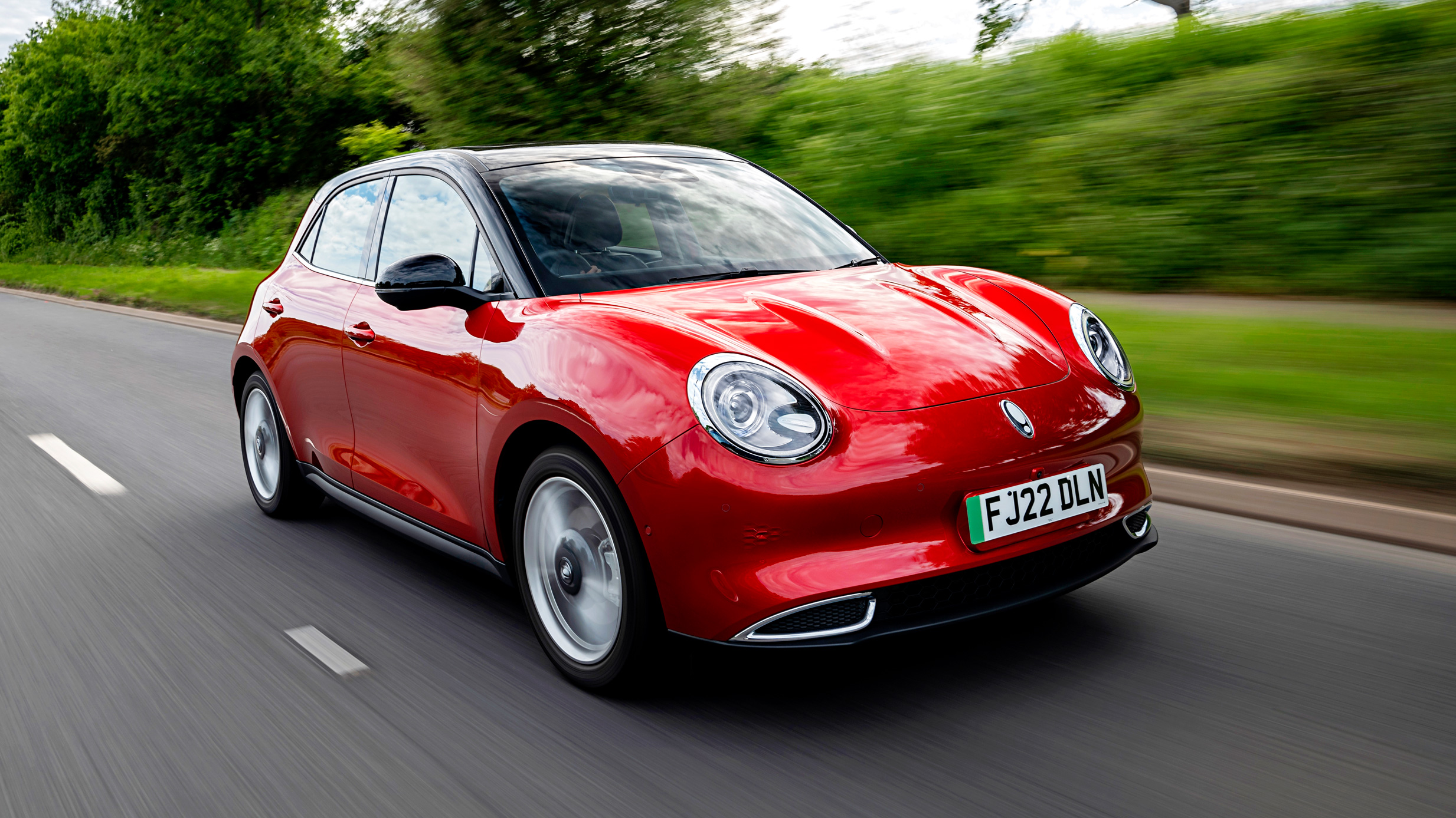 1-Ora-Funky-Cat-review