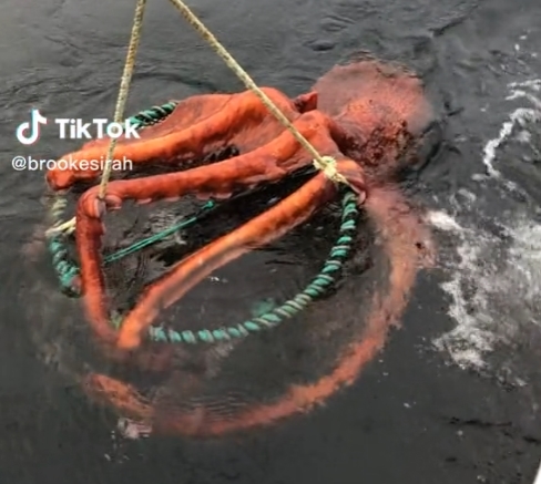 2023-01-04 10_20_45-Window