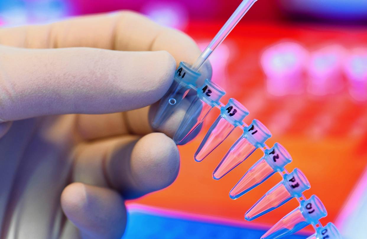 dna testi cinayet davasi (1)-1