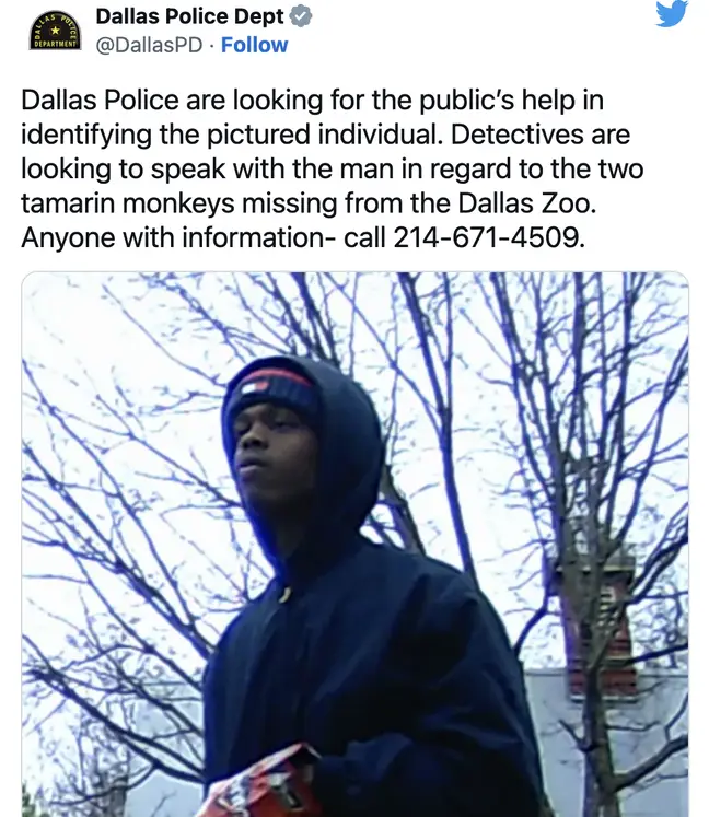 maymun hayvanat bahçesi (3)